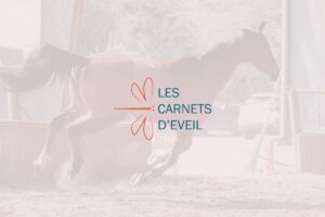 Les Carnets d'éveil