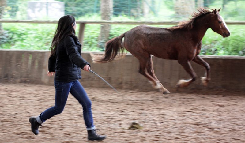 formation-team-building-equicoaching-1